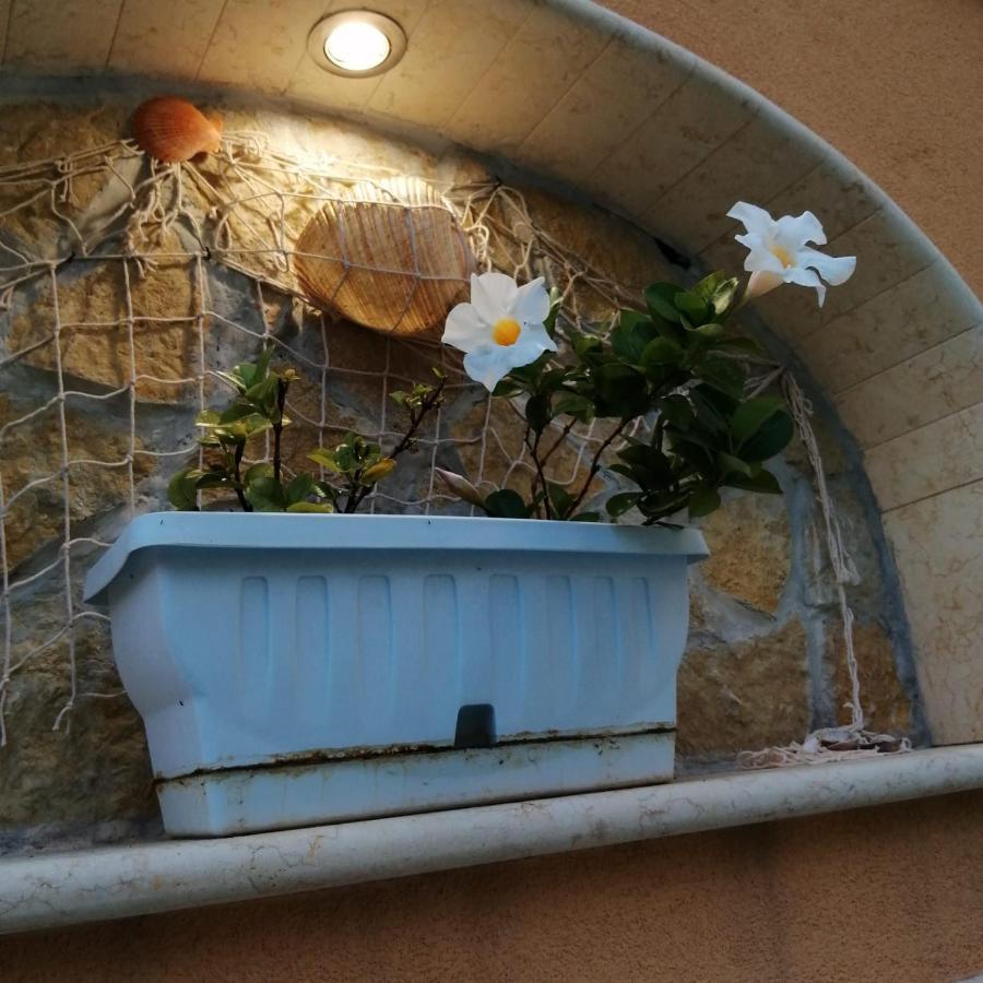 טרפאני Ivana Home מראה חיצוני תמונה